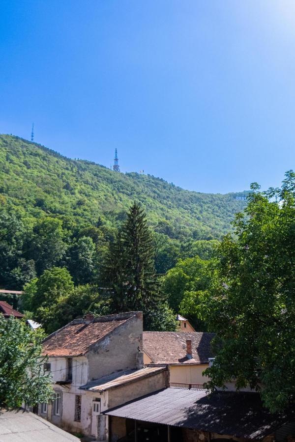 Black Gate - Quiet Studio In The Heart Of Old Town With Free Private Secured Parking Braşov Exterior foto